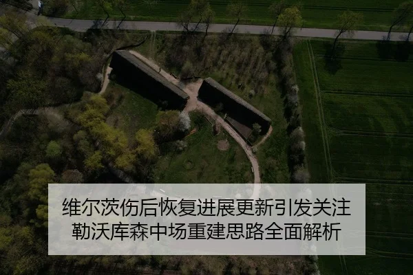 维尔茨伤后恢复进展更新引发关注 勒沃库森中场重建思路全面解析